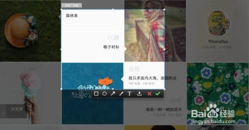 mac截长图(为什么Mac不能用QQ截长图)