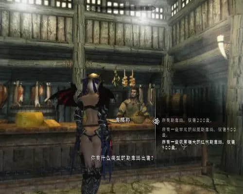 上古卷轴5汉化(上古卷轴5汉化补丁放在哪个文件夹)