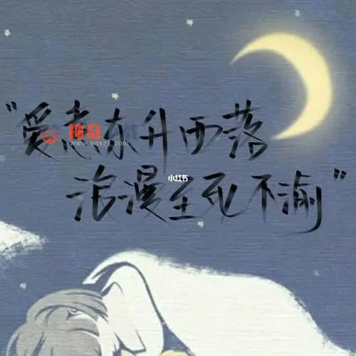 落雪音乐(洛雪音乐助手下载)