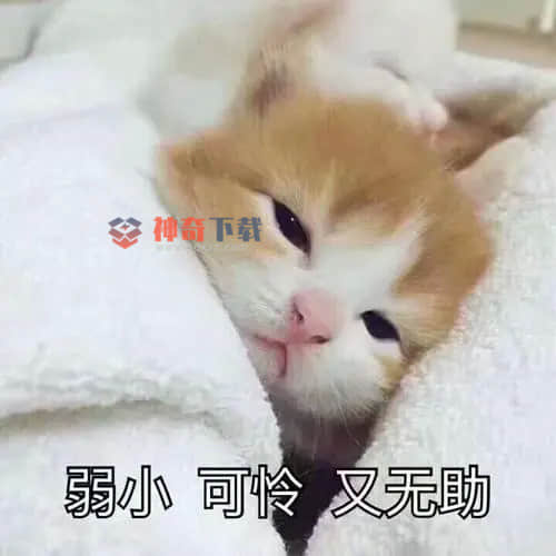 蠢萌表情包(蠢萌表情包头像)