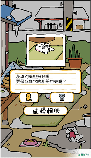 猫咪后院v1.11.0版下载