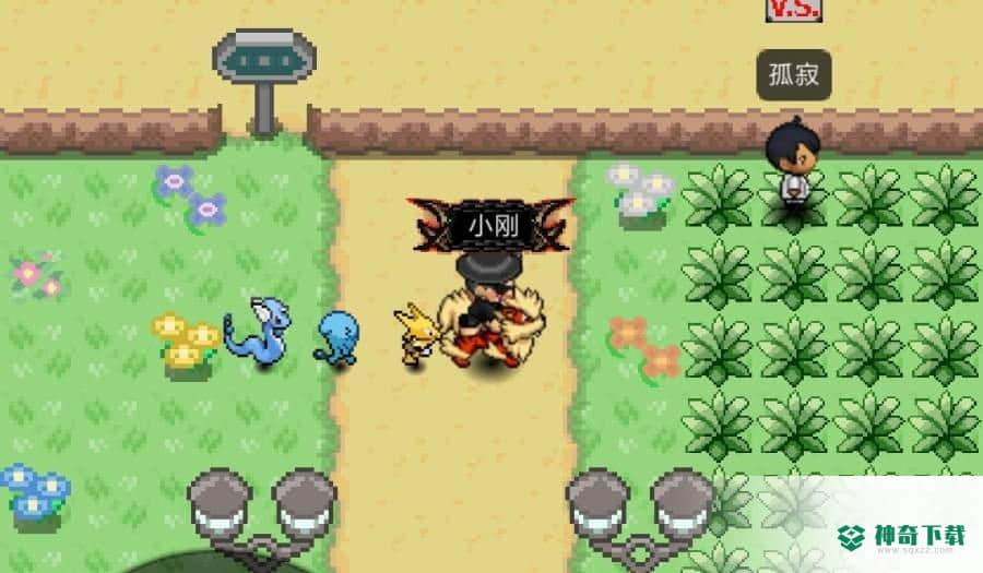 PokePlus自制版