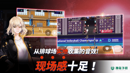 排球故事v8.8版下载