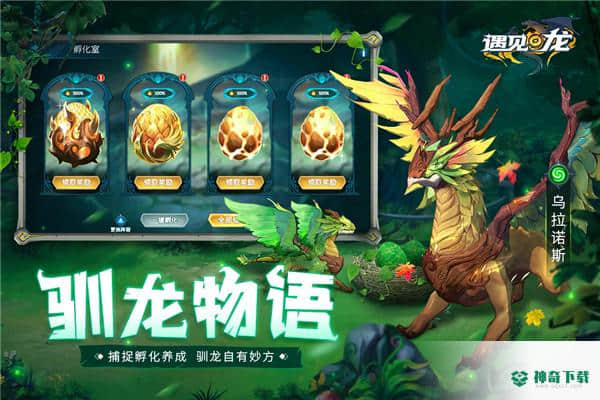遇见龙官方最新版免费下载