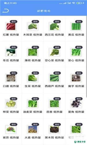 Fit瘦身减肥安卓版下载
