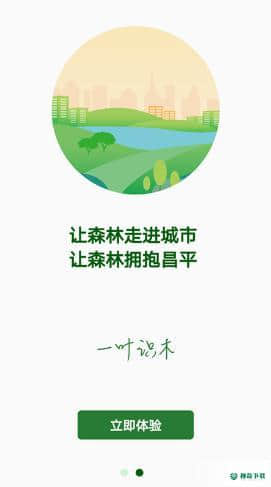 一叶识木下载