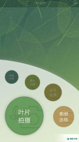 一叶识木下载