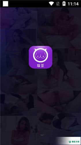 嗅茶安卓应用下载
