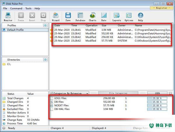 Disk Pulse Pro