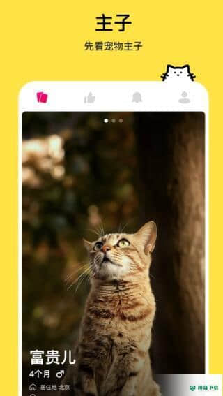 thinkpet安卓app下载