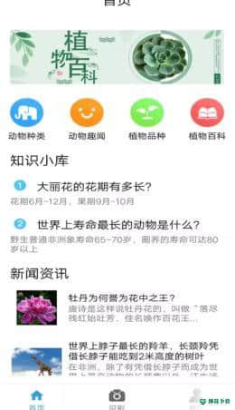 灵通植物安卓版下载