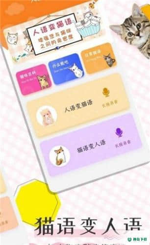 猫语翻译宝安卓app下载