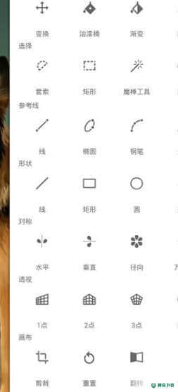 painter6.3.60下载