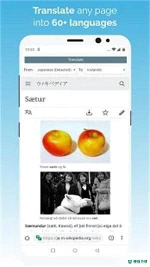 kiwi浏览器APP下载