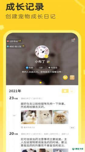 句苗岛安卓版下载
