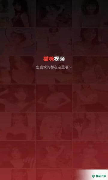 猫咪视频剪辑安卓版1.0.0版下载
