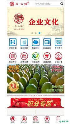 天心缘1.1下载