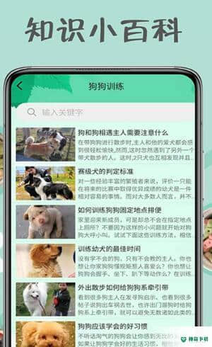 小狗交流器安卓版1.0.0版下载
