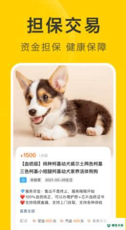 买只宠物安卓版下载