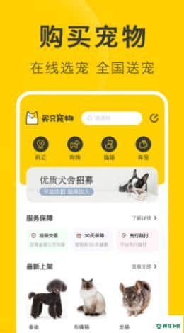 买只宠物1.0.0下载
