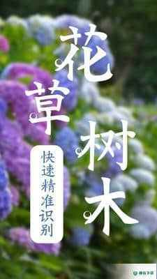 绿植助手下载