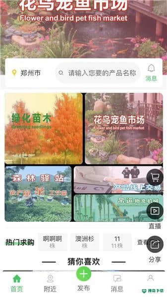 花木森林安卓版下载