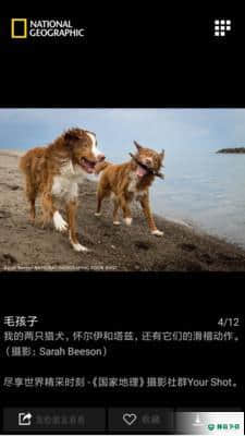 国家地理安卓版下载
