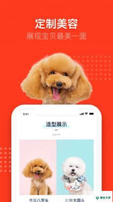 宠物知识全书安卓版下载