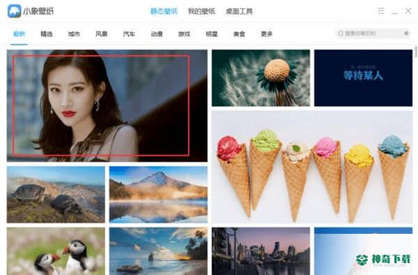 小象壁纸免费版下载