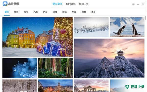 小象壁纸