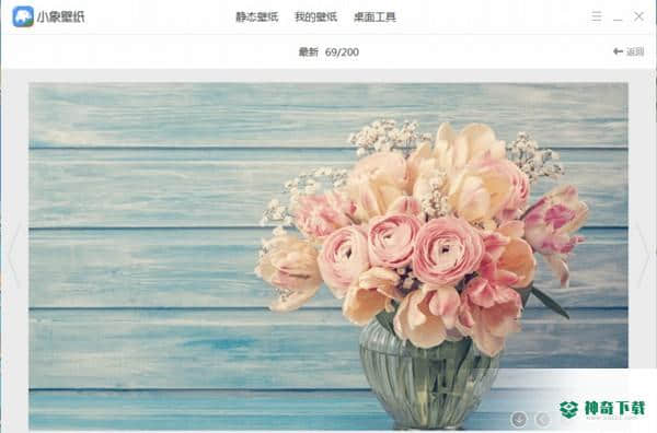 小象壁纸最新下载