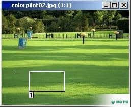 Color Pilot免费版下载