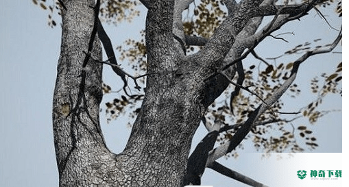 speedtree Games Indie