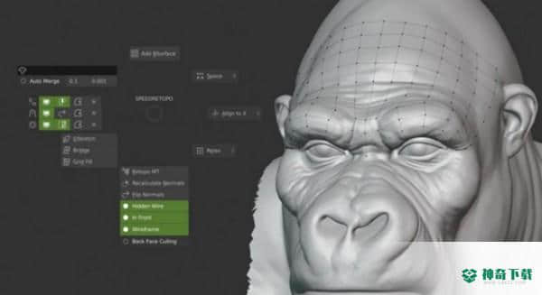 Speedretopo
