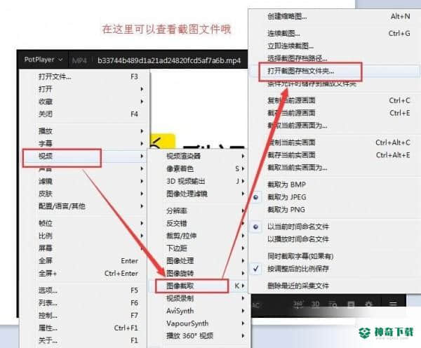 PotPlayer播放器免费版最新下载