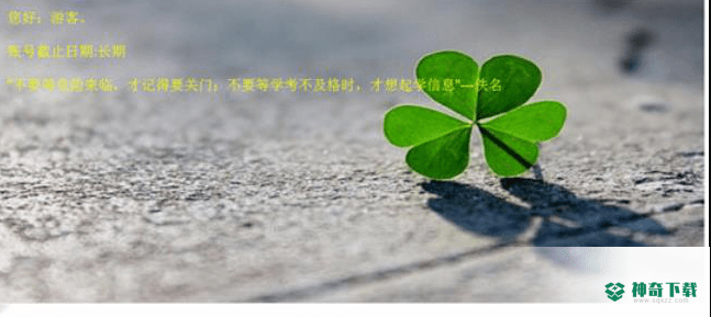 三叶草考试模拟系统
