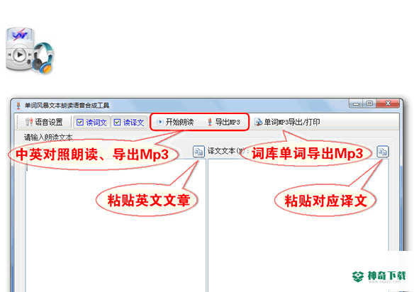单词风暴