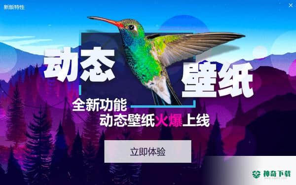 小鸟壁纸免费版下载