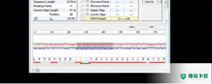 Oligo 7