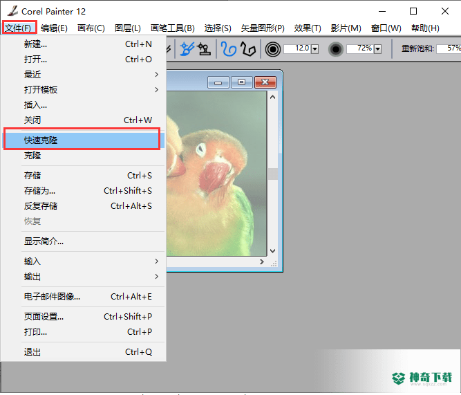 Corel Painter最新版下载