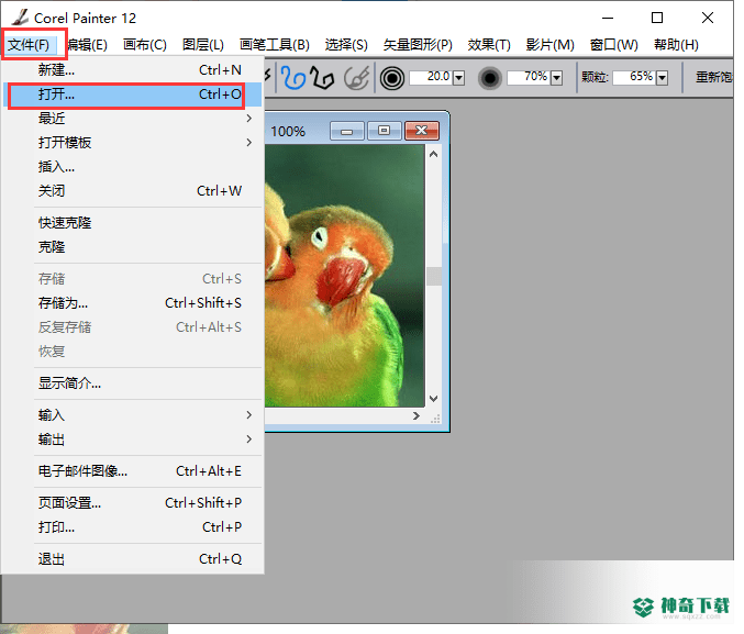 Corel Painter最新版下载