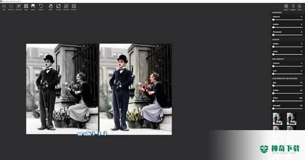Picture Colorizer Pro