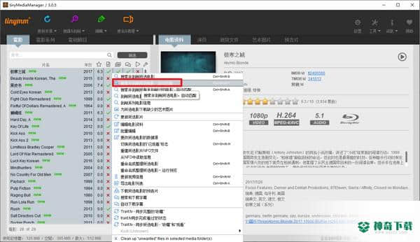 tinyMediaManager最新下载