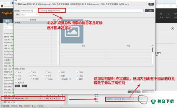 tinyMediaManager最新下载