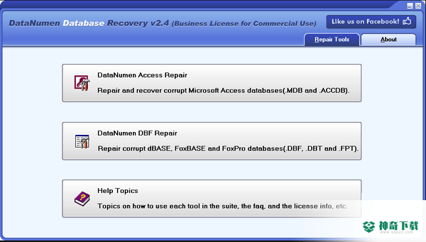DataNumen Database Recovery
