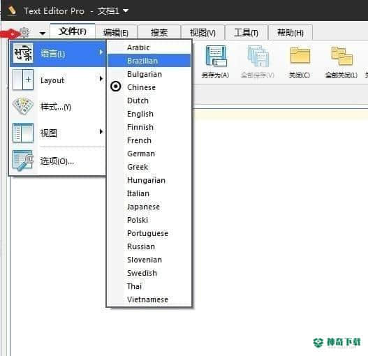 Text Editor文本编辑器