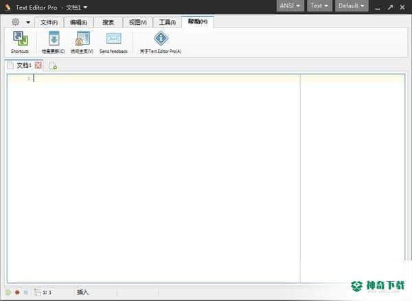 Text Editor文本编辑器