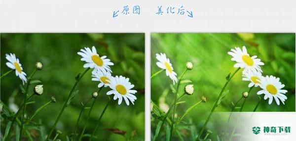 2345看图王官方版下载