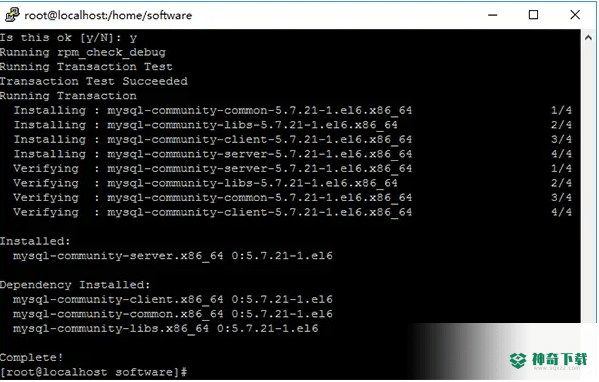 mysql server
