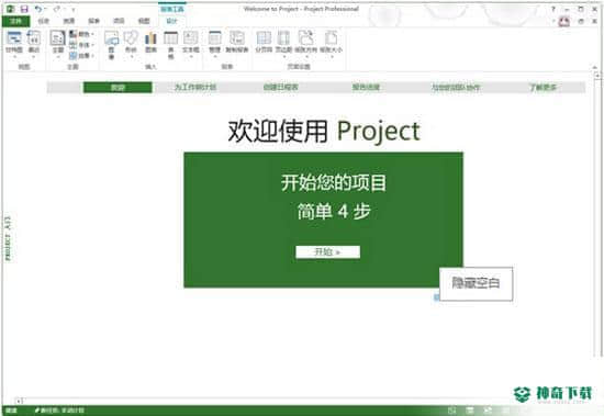 Office Project Professional 2013